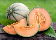 Harga Melon Premium di Indonesia Ukuran Personal Size